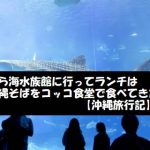 美ら海水族館に行ってランチは沖縄そばをコッコ食堂で食べてきた【沖縄旅行記】