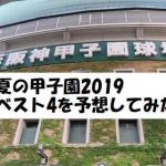 夏の甲子園2019のベスト4を予想！注目校が少なく混戦か？